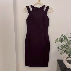 NWT Plum midi Calvin Klein dress
